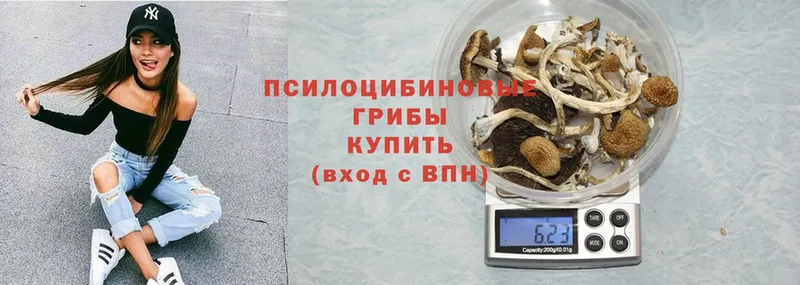 Галлюциногенные грибы мицелий  Беслан 